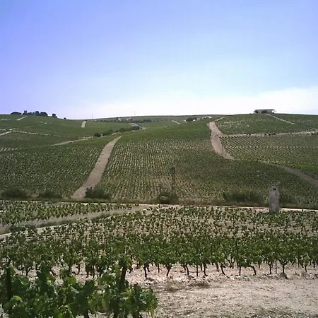 Vina Santa Petronila Torre Χέρεζ